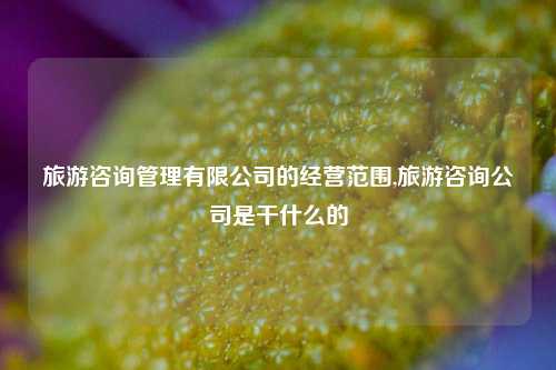 旅游咨询管理有限公司的经营范围,旅游咨询公司是干什么的