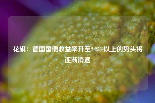 花旗：德国国债收益率升至2.25%以上的势头将逐渐消退