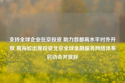 支持全球企业在京投资 助力首都高水平对外开放 葛海蛟出席投资北京全球金融服务网络体系启动会并致辞