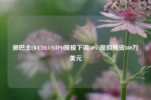 微巴士(WETO.US)IPO规模下调50% 现拟筹资800万美元