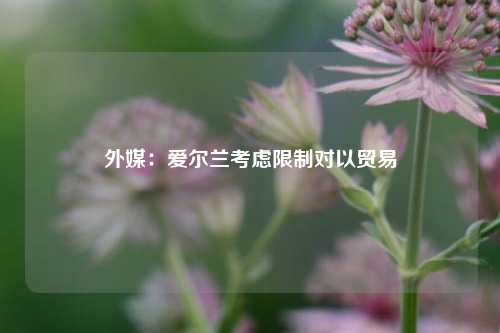 外媒：爱尔兰考虑限制对以贸易