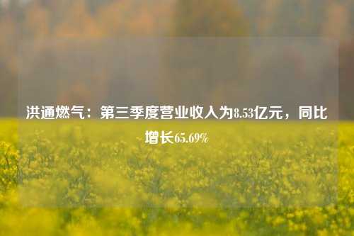 洪通燃气：第三季度营业收入为8.53亿元，同比增长65.69%