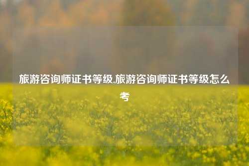 旅游咨询师证书等级,旅游咨询师证书等级怎么考