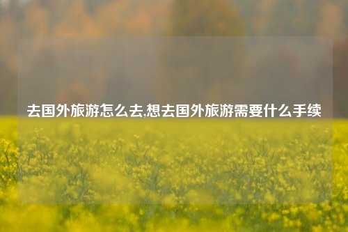 去国外旅游怎么去,想去国外旅游需要什么手续