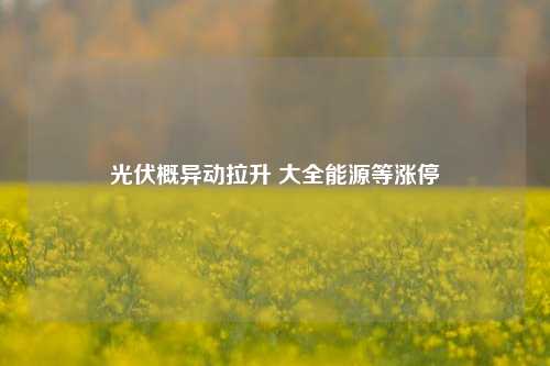 光伏概异动拉升 大全能源等涨停