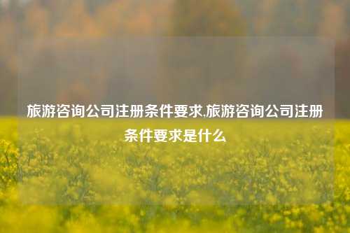 旅游咨询公司注册条件要求,旅游咨询公司注册条件要求是什么