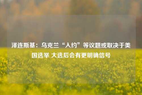 泽连斯基：乌克兰“入约”等议题或取决于美国选举 大选后会有更明确信号