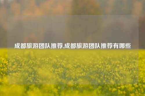 成都旅游团队推荐,成都旅游团队推荐有哪些