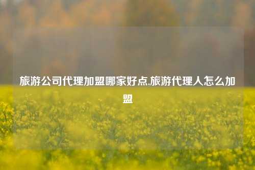 旅游公司代理加盟哪家好点,旅游代理人怎么加盟