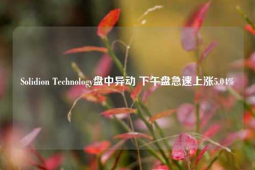 Solidion Technology盘中异动 下午盘急速上涨5.04%