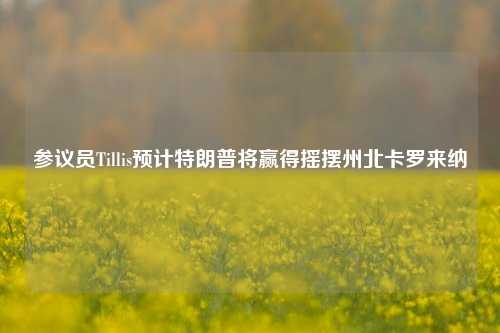 参议员Tillis预计特朗普将赢得摇摆州北卡罗来纳