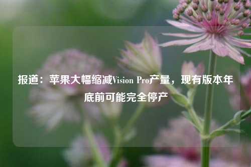 报道：苹果大幅缩减Vision Pro产量，现有版本年底前可能完全停产