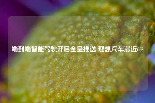 端到端智能驾驶开启全量推送 理想汽车涨近6%