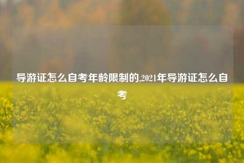 导游证怎么自考年龄限制的,2021年导游证怎么自考