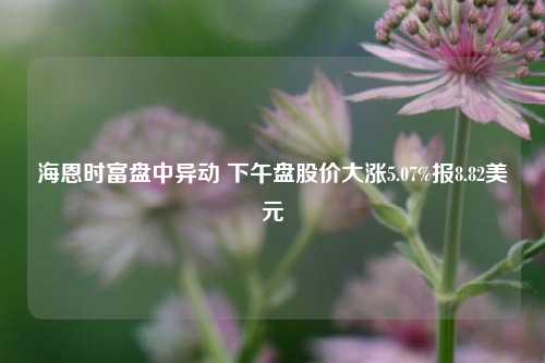 海恩时富盘中异动 下午盘股价大涨5.07%报8.82美元