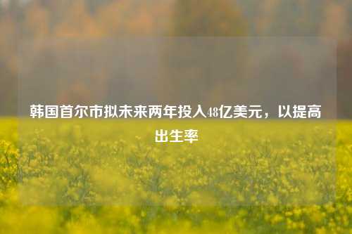 韩国首尔市拟未来两年投入48亿美元，以提高出生率