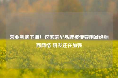 营业利润下滑！这家豪华品牌被传要削减经销商网络 研发还在加强