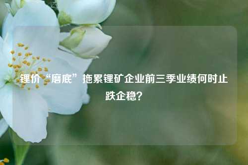 锂价“磨底”拖累锂矿企业前三季业绩何时止跌企稳？