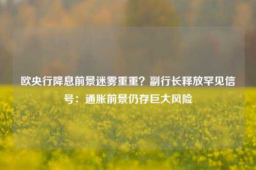 欧央行降息前景迷雾重重？副行长释放罕见信号：通胀前景仍存巨大风险