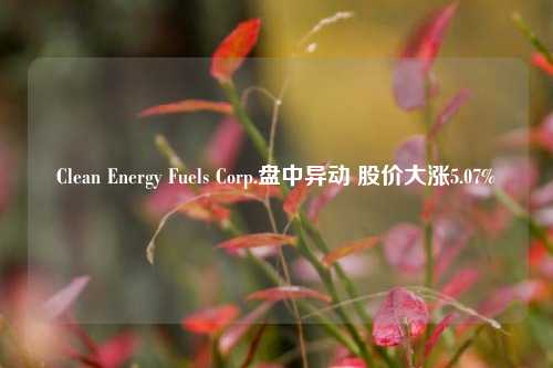 Clean Energy Fuels Corp.盘中异动 股价大涨5.07%