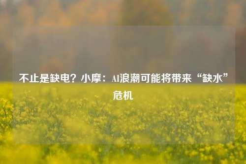 不止是缺电？小摩：AI浪潮可能将带来“缺水”危机