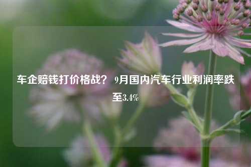 车企赔钱打价格战？ 9月国内汽车行业利润率跌至3.4%