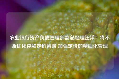 农业银行资产负债管理部副总经理汪洋：将不断优化存款定价策略 加强定价的精细化管理