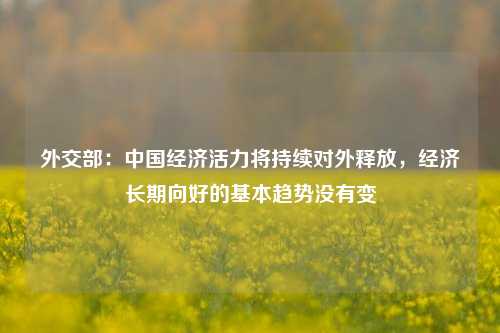 外交部：中国经济活力将持续对外释放，经济长期向好的基本趋势没有变