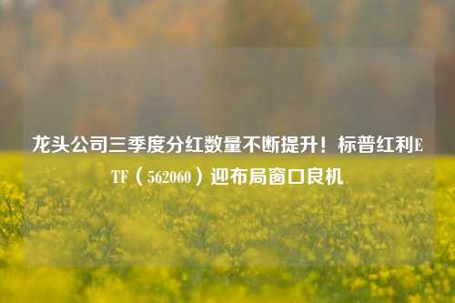 龙头公司三季度分红数量不断提升！标普红利ETF（562060）迎布局窗口良机