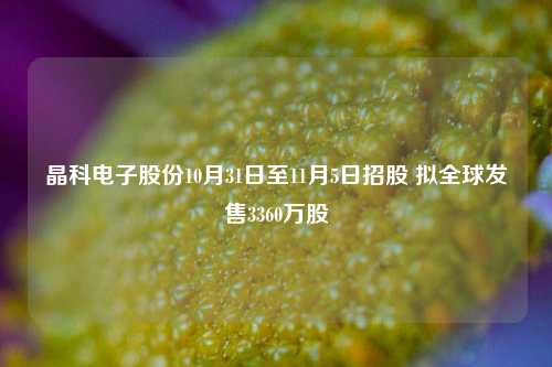 晶科电子股份10月31日至11月5日招股 拟全球发售3360万股