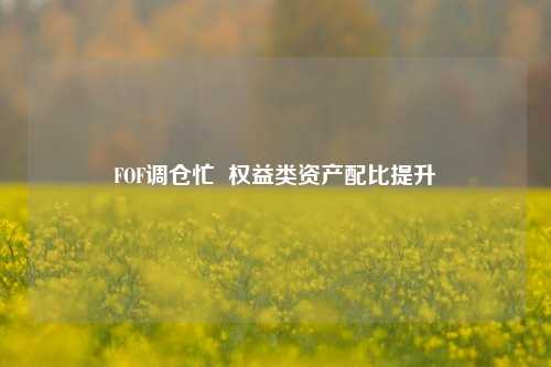 FOF调仓忙  权益类资产配比提升