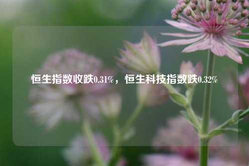 恒生指数收跌0.31%，恒生科技指数跌0.32%