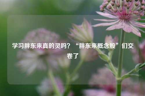 学习胖东来真的灵吗？“胖东来概念股”们交卷了