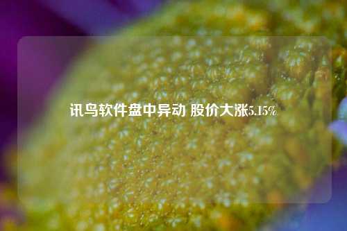 讯鸟软件盘中异动 股价大涨5.15%