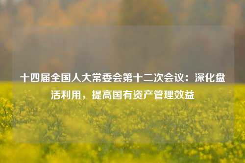 十四届全国人大常委会第十二次会议：深化盘活利用，提高国有资产管理效益