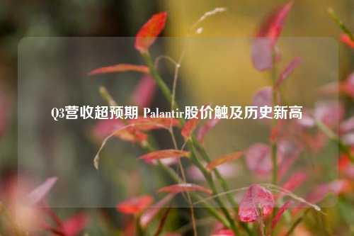 Q3营收超预期 Palantir股价触及历史新高