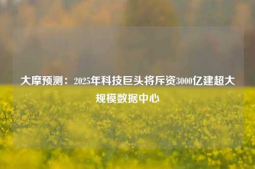 大摩预测：2025年科技巨头将斥资3000亿建超大规模数据中心