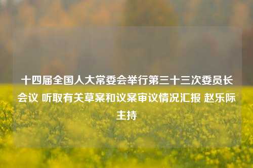 十四届全国人大常委会举行第三十三次委员长会议 听取有关草案和议案审议情况汇报 赵乐际主持