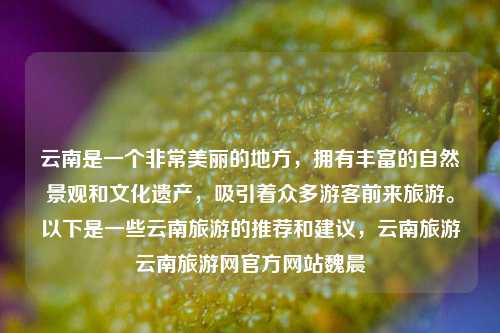 云南是一个非常美丽的地方，拥有丰富的自然景观和文化遗产，吸引着众多游客前来旅游。以下是一些云南旅游的推荐和建议，云南旅游云南旅游网官方网站魏晨