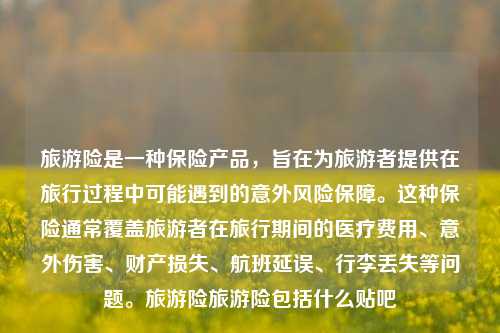 旅游险是一种保险产品，旨在为旅游者提供在旅行过程中可能遇到的意外风险保障。这种保险通常覆盖旅游者在旅行期间的医疗费用、意外伤害、财产损失、航班延误、行李丢失等问题。旅游险旅游险包括什么贴吧