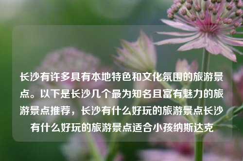 长沙有许多具有本地特色和文化氛围的旅游景点。以下是长沙几个最为知名且富有魅力的旅游景点推荐，长沙有什么好玩的旅游景点长沙有什么好玩的旅游景点适合小孩纳斯达克