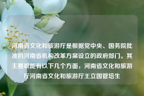 河南省文化和旅游厅是根据党中央、国务院批准的河南省机构改革方案设立的政府部门。其主要职能有以下几个方面，河南省文化和旅游厅河南省文化和旅游厅王立国管培生