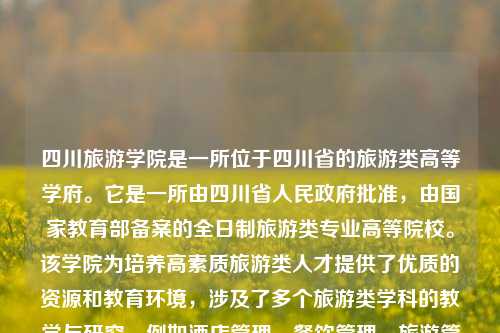 四川旅游学院是一所位于四川省的旅游类高等学府。它是一所由四川省人民政府批准，由国家教育部备案的全日制旅游类专业高等院校。该学院为培养高素质旅游类人才提供了优质的资源和教育环境，涉及了多个旅游类学科的教学与研究，例如酒店管理、餐饮管理、旅游管理、导游服务、景区开发与管理等。四川旅游学院四川旅游学院地图科大讯飞