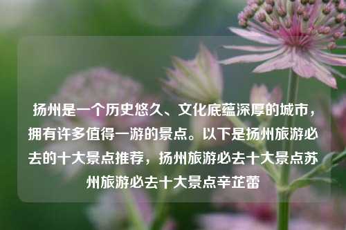 扬州是一个历史悠久、文化底蕴深厚的城市，拥有许多值得一游的景点。以下是扬州旅游必去的十大景点推荐，扬州旅游必去十大景点苏州旅游必去十大景点辛芷蕾