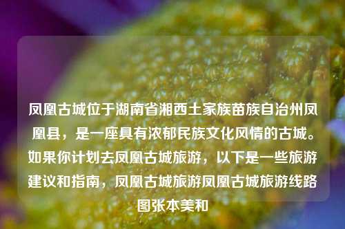 凤凰古城位于湖南省湘西土家族苗族自治州凤凰县，是一座具有浓郁民族文化风情的古城。如果你计划去凤凰古城旅游，以下是一些旅游建议和指南，凤凰古城旅游凤凰古城旅游线路图张本美和