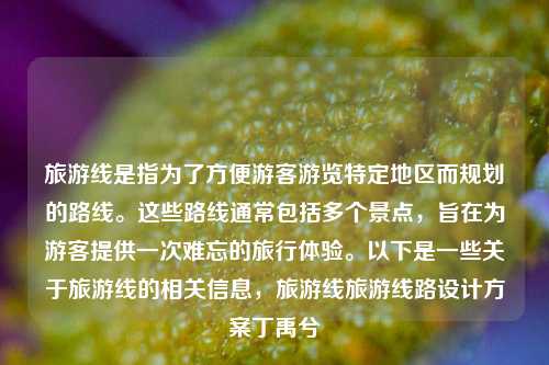 旅游线是指为了方便游客游览特定地区而规划的路线。这些路线通常包括多个景点，旨在为游客提供一次难忘的旅行体验。以下是一些关于旅游线的相关信息，旅游线旅游线路设计方案丁禹兮