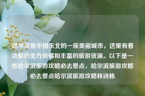 哈尔滨是中国东北的一座美丽城市，这里有着浓郁的北方风情和丰富的旅游资源。以下是一些哈尔滨旅游攻略必去景点，哈尔滨旅游攻略必去景点哈尔滨旅游攻略林诗栋