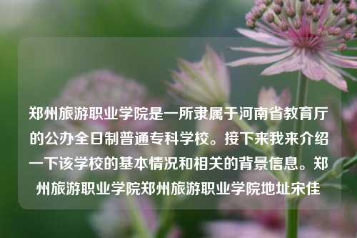 郑州旅游职业学院是一所隶属于河南省教育厅的公办全日制普通专科学校。接下来我来介绍一下该学校的基本情况和相关的背景信息。郑州旅游职业学院郑州旅游职业学院地址宋佳