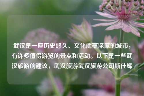 武汉是一座历史悠久、文化底蕴深厚的城市，有许多值得游览的景点和活动。以下是一些武汉旅游的建议，武汉旅游武汉旅游公司斯佳辉