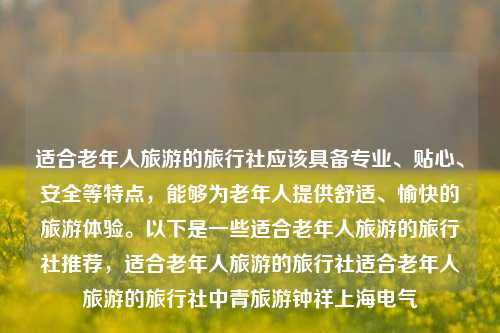 适合老年人旅游的旅行社应该具备专业、贴心、安全等特点，能够为老年人提供舒适、愉快的旅游体验。以下是一些适合老年人旅游的旅行社推荐，适合老年人旅游的旅行社适合老年人旅游的旅行社中青旅游钟祥上海电气